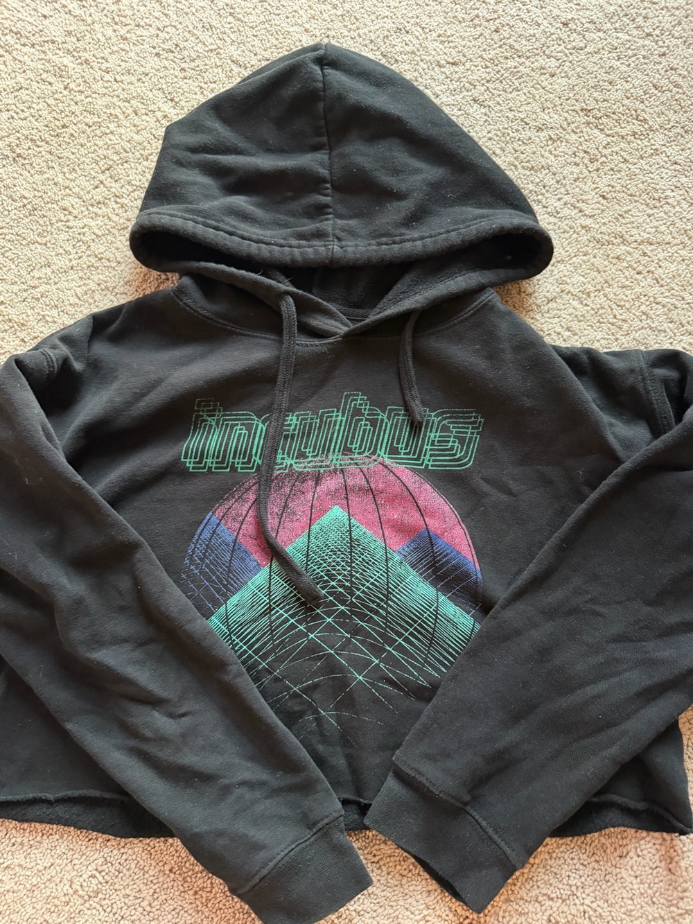 Cropped Incubus Hoodie